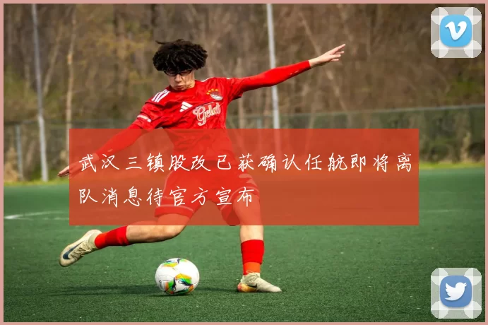 武汉三镇股改已获确认任航即将离队消息待官方宣布