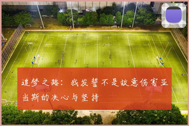 追梦之路：我发誓不是故意伤害亚当斯的决心与坚持