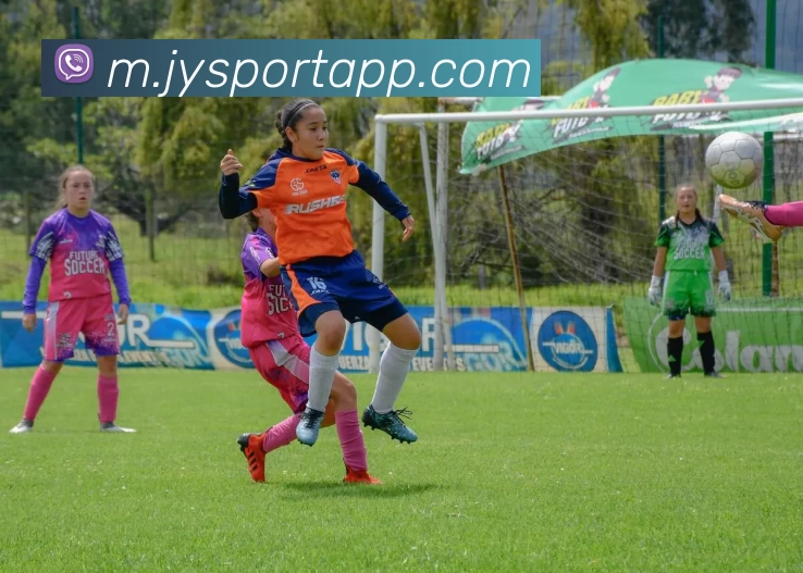 九游体育APP平台生态图